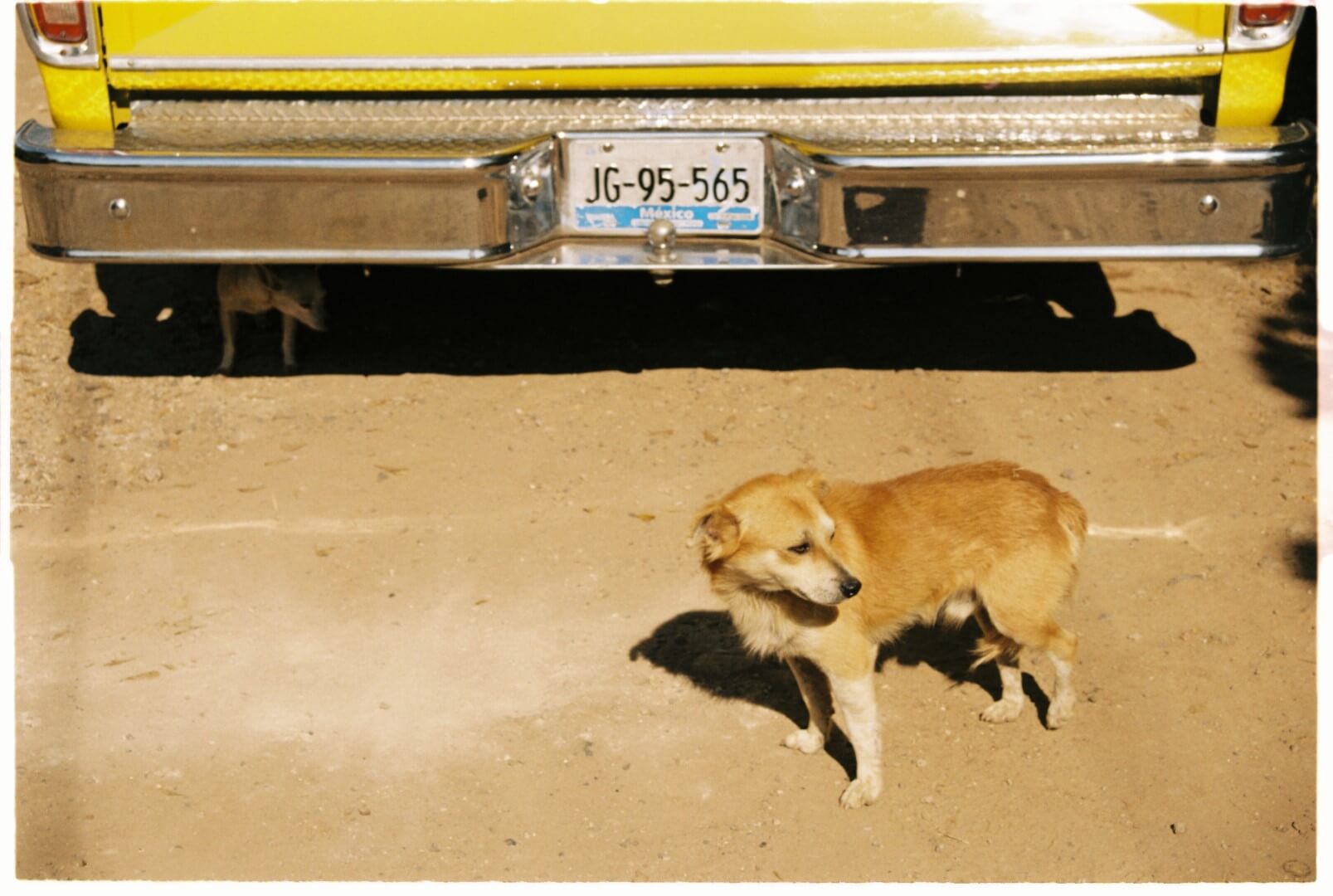 Slide Image