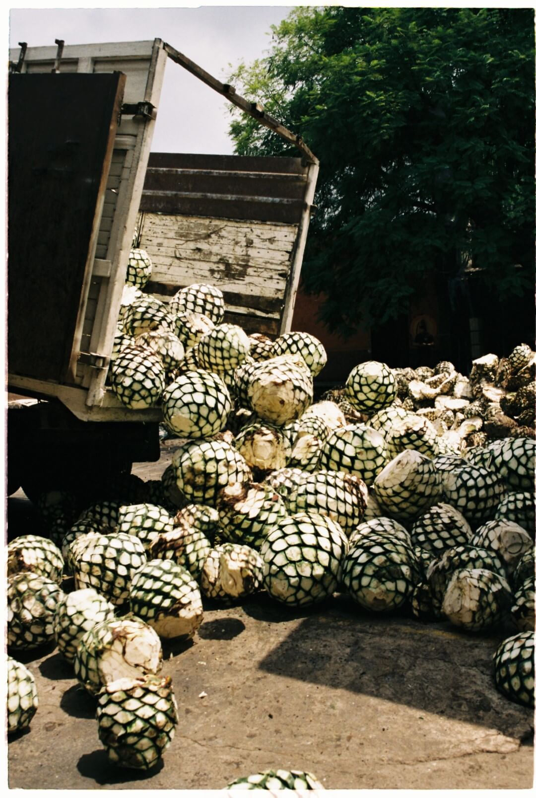 Slide Image