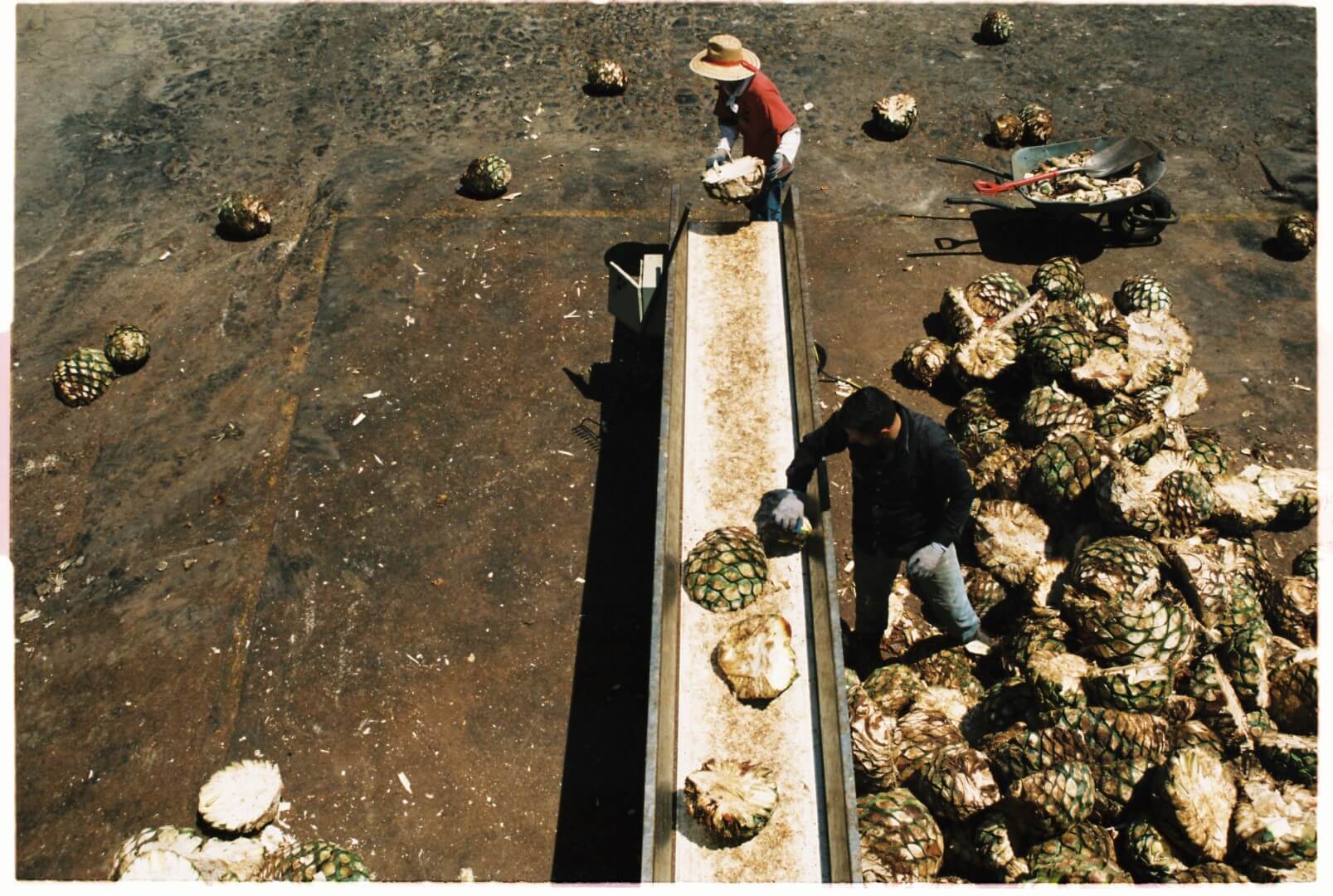Slide Image
