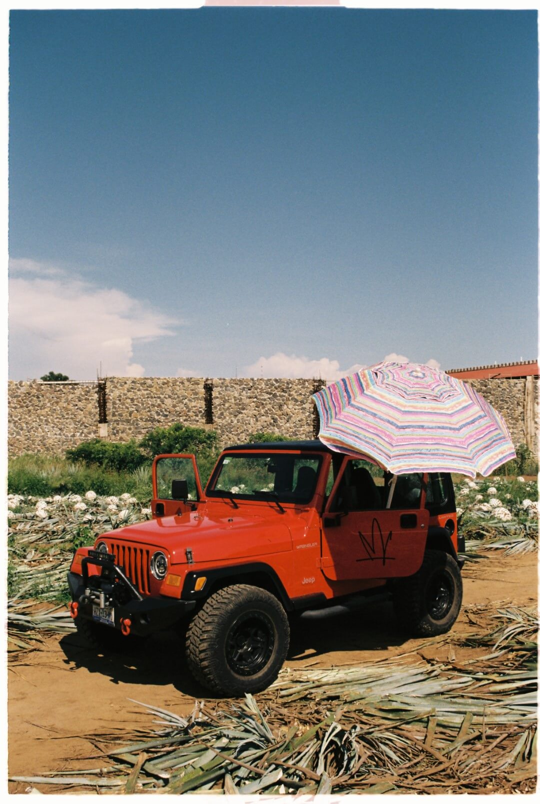 Slide Image