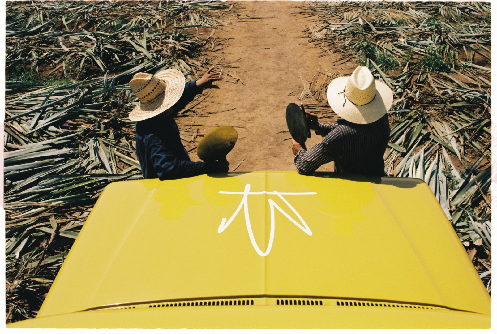 Slide Image
