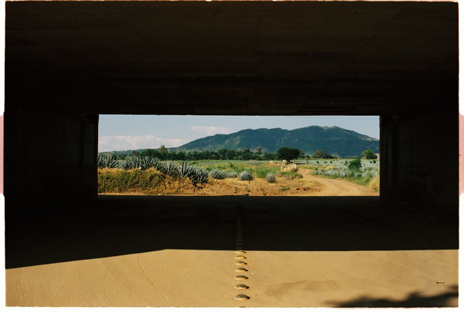 Slide Image
