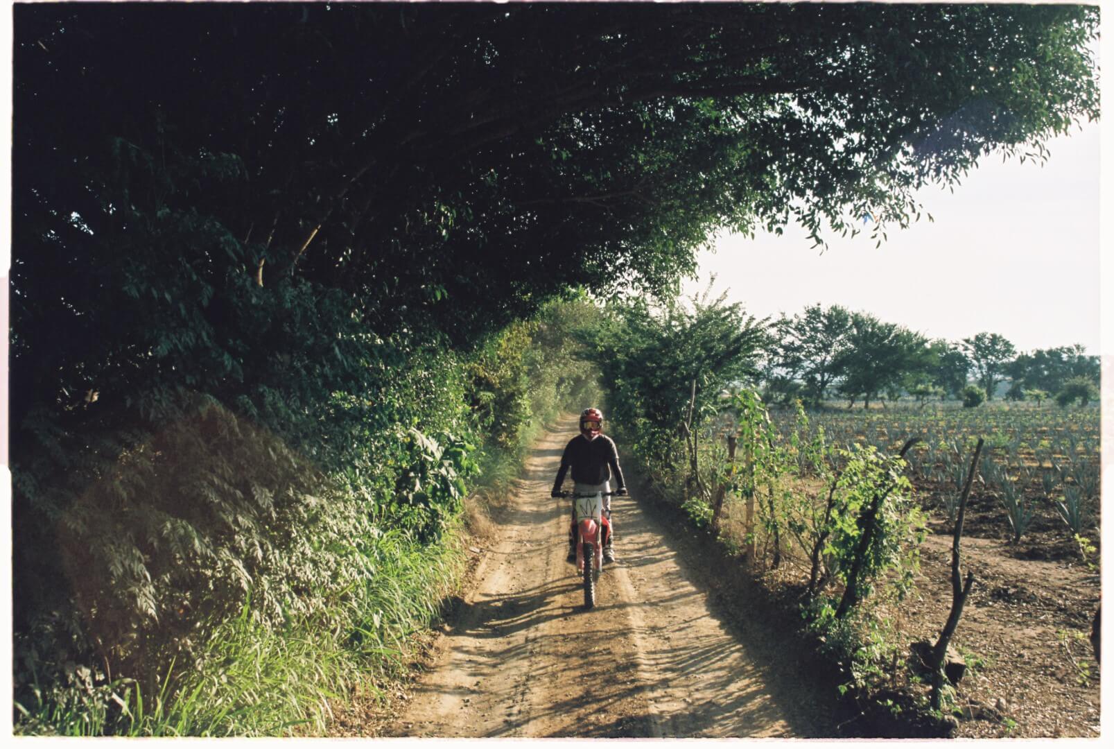 Slide Image