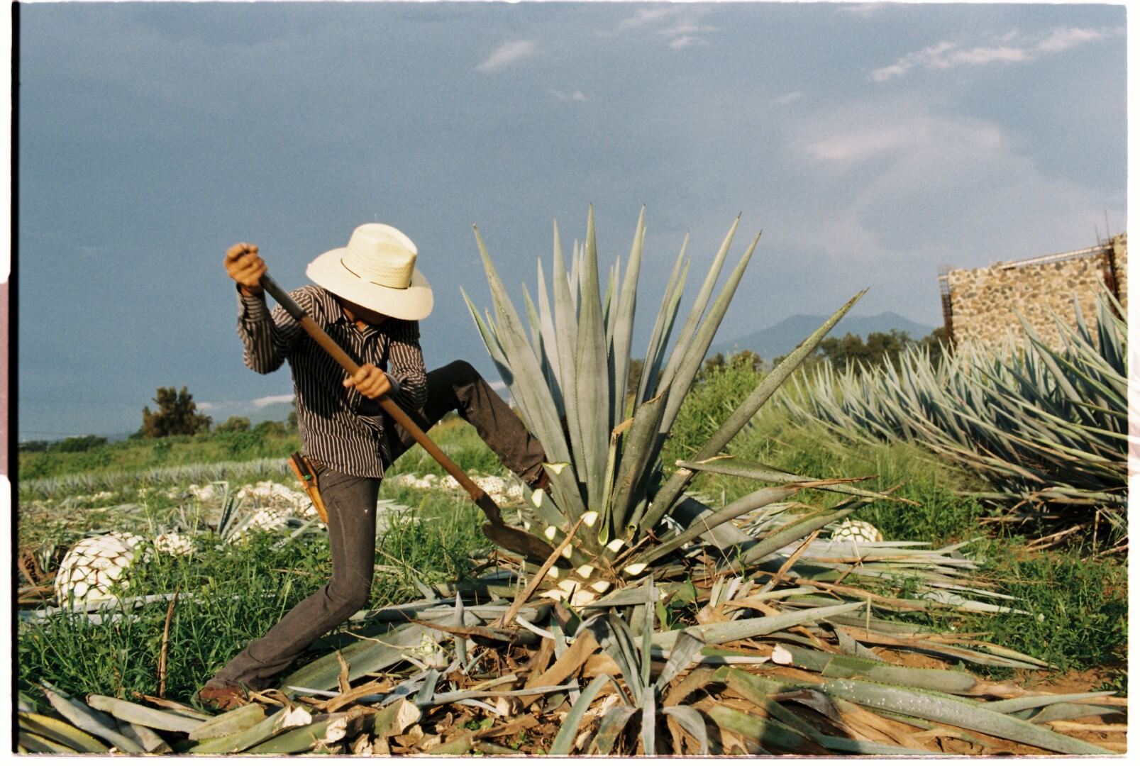 Slide Image