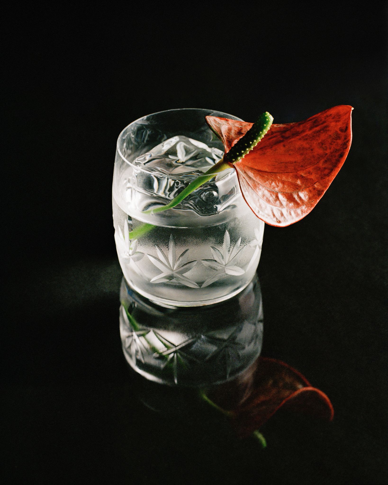 Blanco on the Rocks
